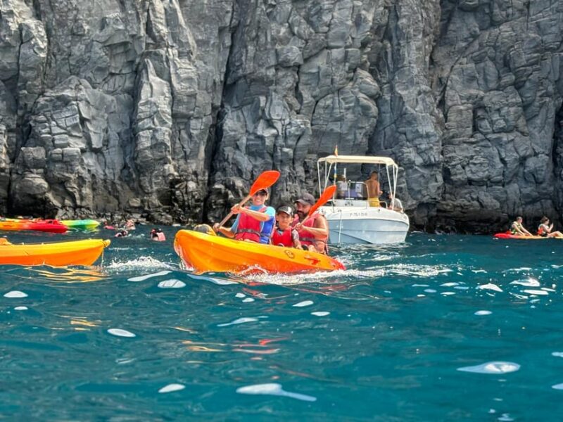 Tenerife: Kayaking and Snorkeling for Groups and Families - Suitability for All Skill Levels