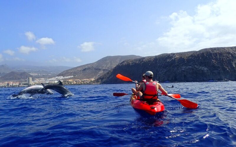 Tenerife: Kayaking and Snorkeling With Turtles - What to Bring