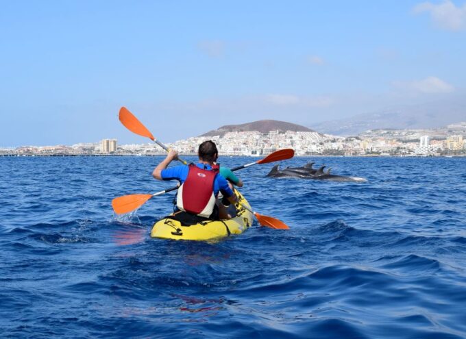 Tenerife: Kayaking and Snorkeling With Turtles - Safety and Restrictions