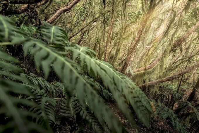 Tenerife: Landscape Photography Workshops, 10 Hrs. - Snacks, Drinks, and Meals