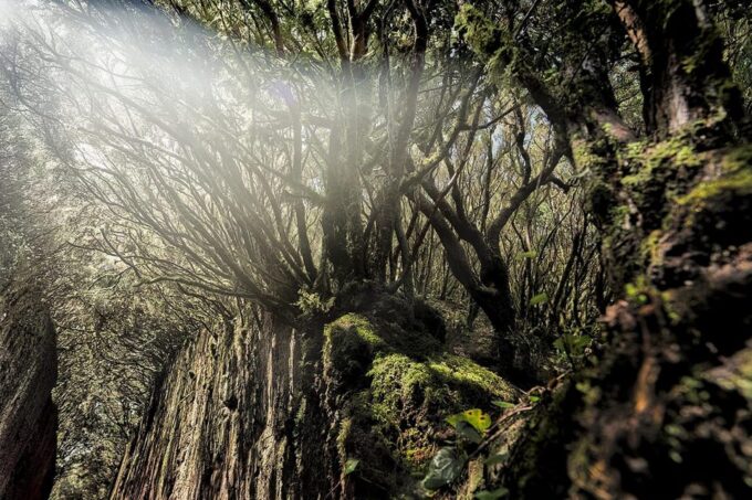 Tenerife: Landscape Photography Workshops, 10 Hrs. - Frequently Asked Questions