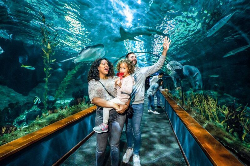 Tenerife: Loro Parque Entry Ticket - Who Will Love This Experience?