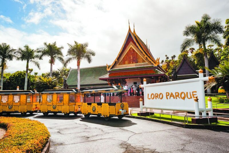 Tenerife: Loro Parque & Siam Park Entry Ticket With Transfer - Language Options and Accessibility
