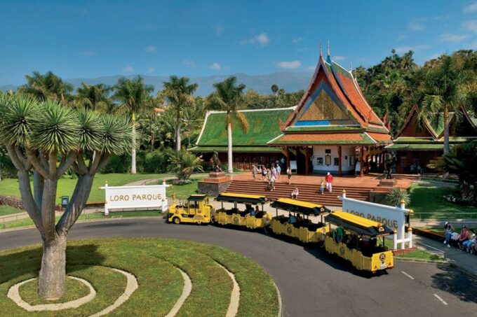 Tenerife: Loro Parque & Siam Park Entry Ticket With Transfer - Additional Tips and Considerations