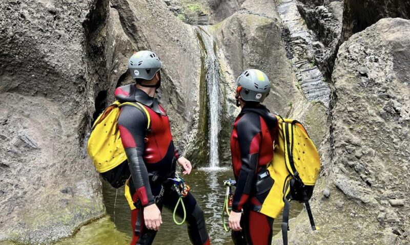 Tenerife: Los Carrizales Water Canyoning Tour - Guided Canyoning Adventure