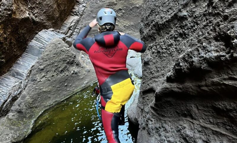 Tenerife: Los Carrizales Water Canyoning Tour - Itinerary and Logistics