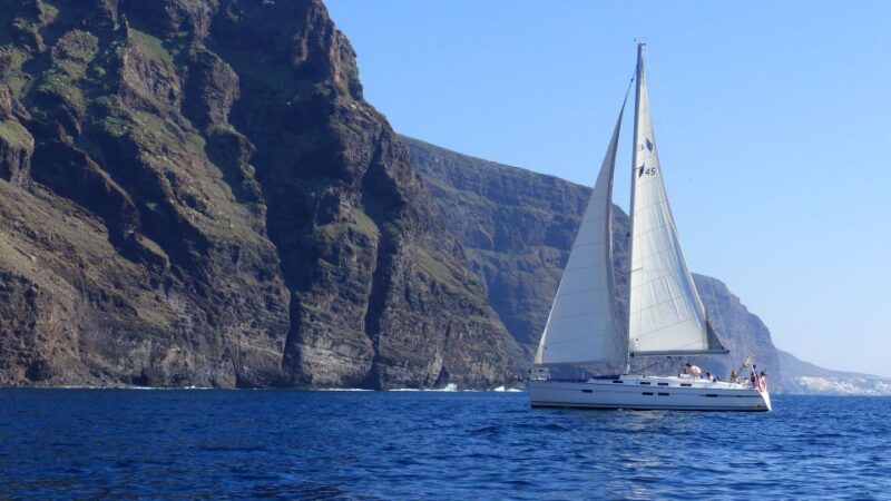 Tenerife: Los Gigantes Whale Watching Cruise by Sail Boat - Key Points