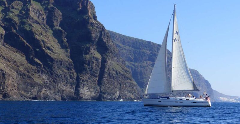 Tenerife: Los Gigantes Whale Watching Cruise by Sail Boat - Onboard Amenities