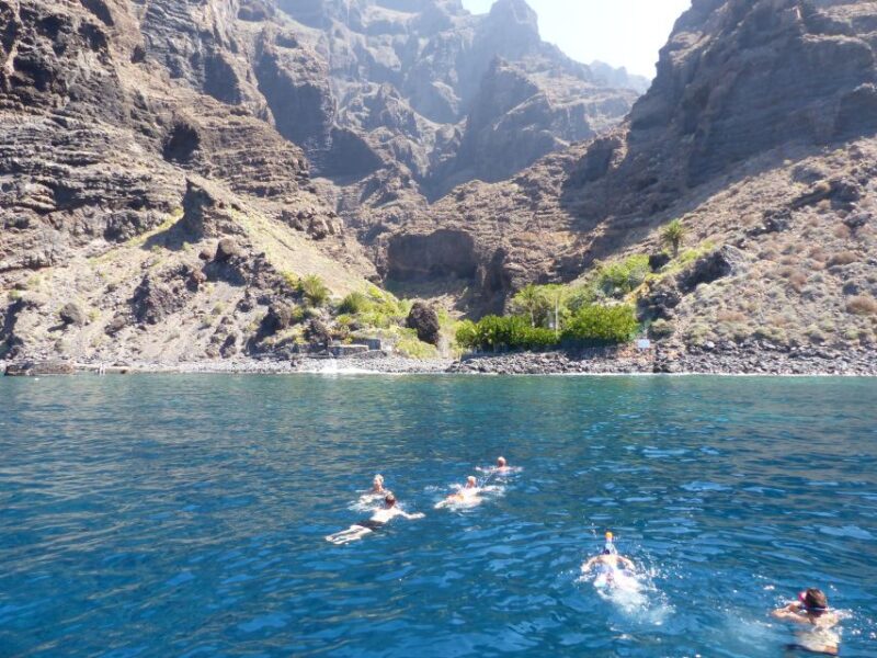 Tenerife: Los Gigantes Whale Watching Cruise by Sail Boat - Customer Reviews and Ratings