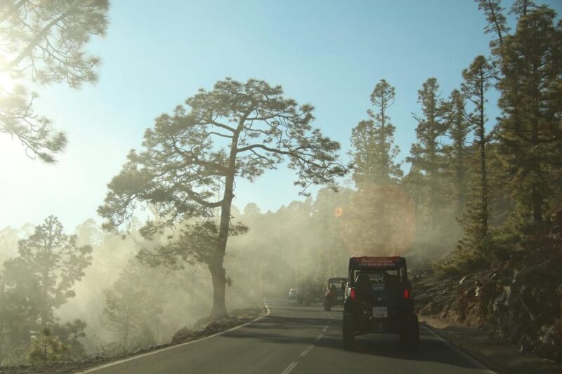 Tenerife: Morning or Sunset Teide Buggy Tour - Photography Opportunities