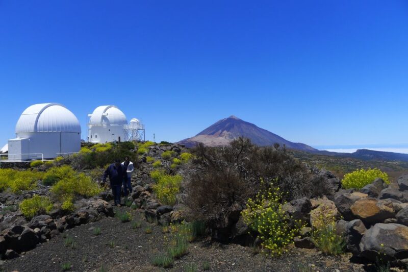 Tenerife: Mount Teide Observatory Guided Tour - Booking and Cancellation