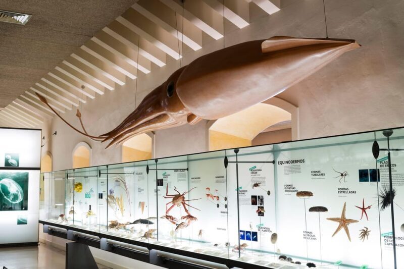 Tenerife: MUNA Museum Admission Ticket and Teide Legend Tour - The Teide Legend Tour: A Natural Wonder