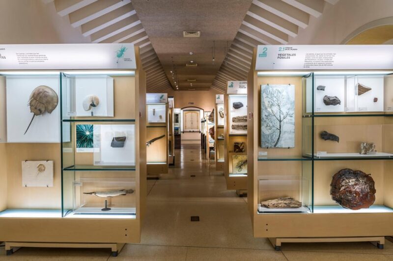 Tenerife: MUNA Museum Admission Ticket and Teide Legend Tour - Practical Details: What You Need to Know