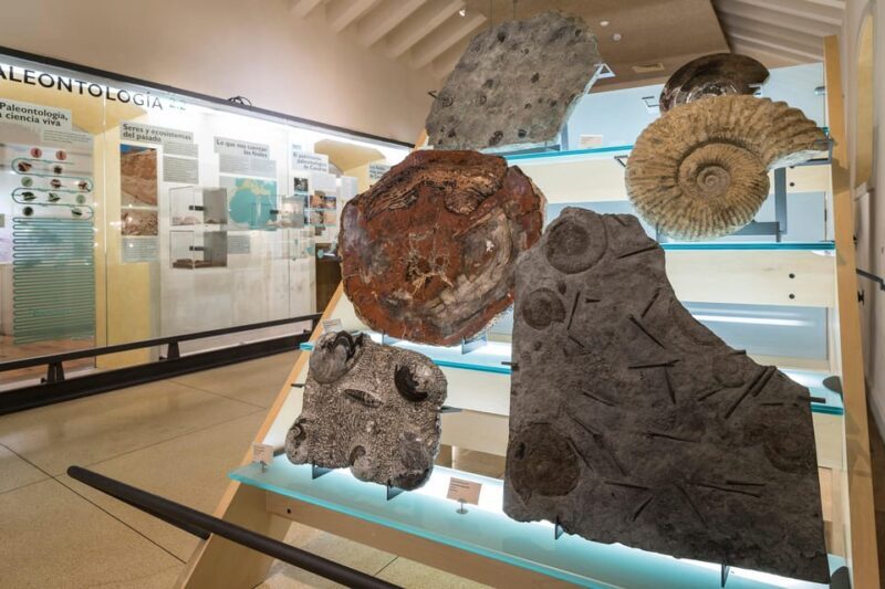 Tenerife: MUNA Museum Admission Ticket and Teide Legend Tour - Who Is This Tour Best For?