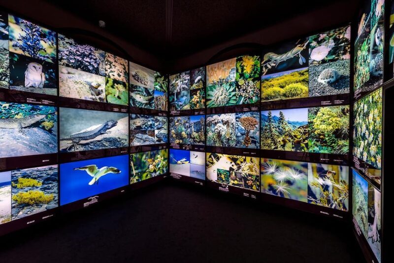 Tenerife: MUNA Museum Admission Ticket and Teide Legend Tour - Final Thoughts