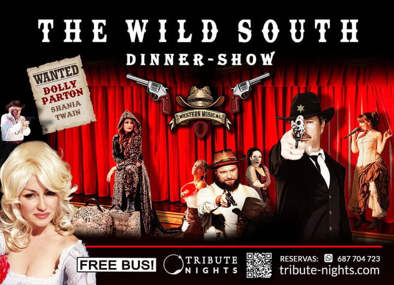 Tenerife : Musical show "the wild south" with dinner and transfer - Key Points