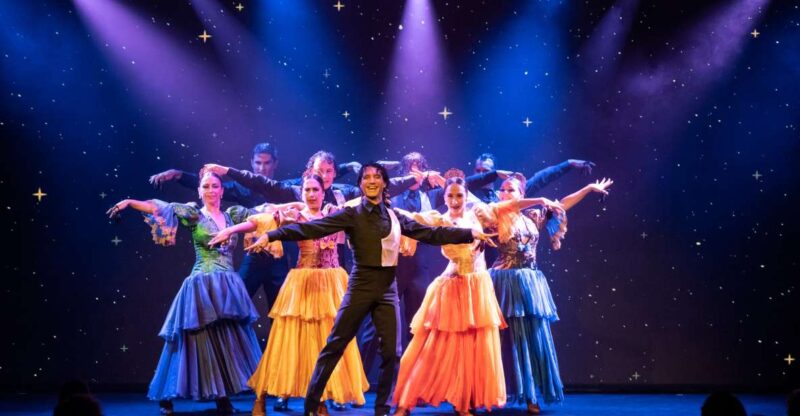 Tenerife: Olé Flamenco Show by Fran Chafino Ticket - Key Points