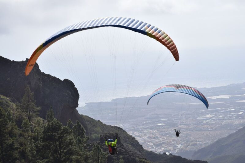 Tenerife: Paragliding Flight - Booking Details