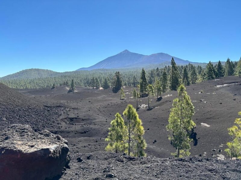 Tenerife: Premium E-Bike Ride at the Chineyro Volcanic Area - Key Points