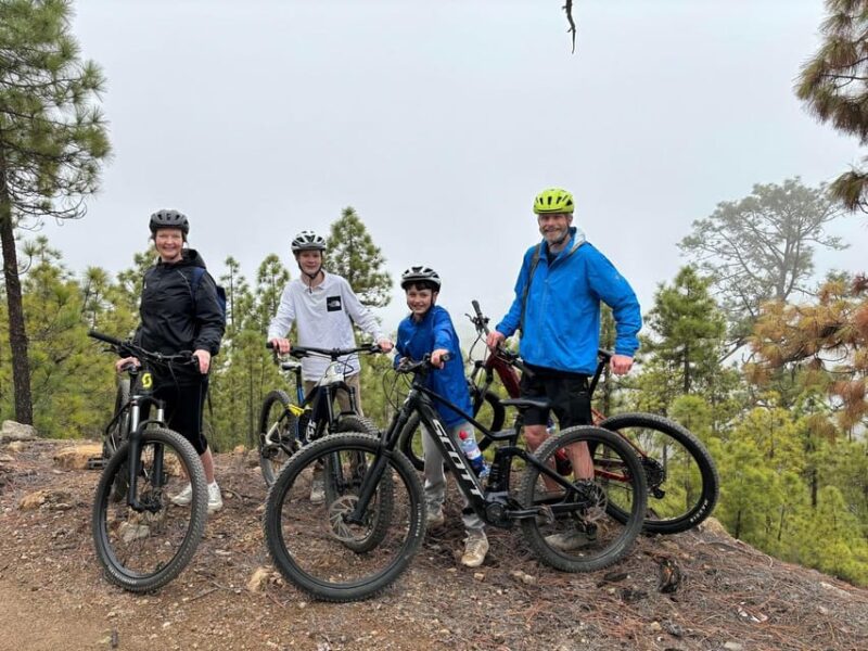 Tenerife: Premium E-Bike Ride at Vilaflor- Lunar Landscape - Itinerary