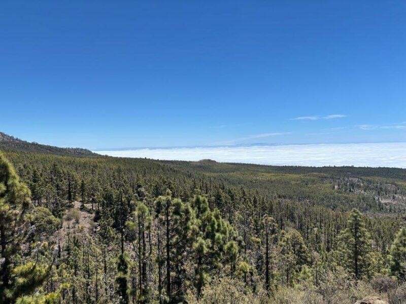 Tenerife: Premium E-Bike Ride at Vilaflor- Lunar Landscape - Ride Experience