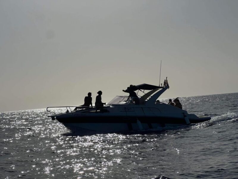 Tenerife: Private Boat Charter With Tapas & Drinks - Experience and Activities