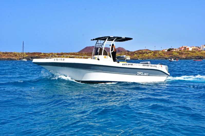 Tenerife: Private Fishing Charter, Fishing Charter With Food and Drinks - Itinerary and Activities