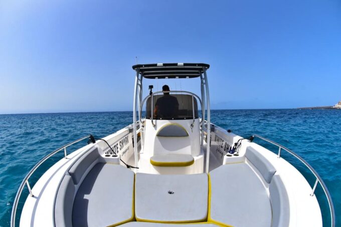 Tenerife: Private Fishing Charter, Fishing Charter With Food and Drinks - Meeting Point and Parking