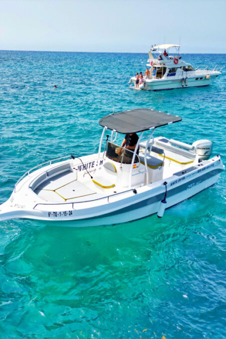 Tenerife: Private Fishing Charter, Fishing Charter With Food and Drinks - Frequently Asked Questions