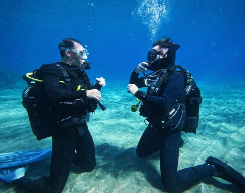 Tenerife: Private Scuba DivingCertified Instructor & Photos - Why Choose a Private Tour in Tenerife?