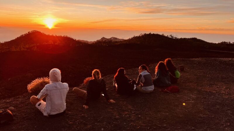 Tenerife: Private VIP Tour Teide National Park - Itinerary and Stops