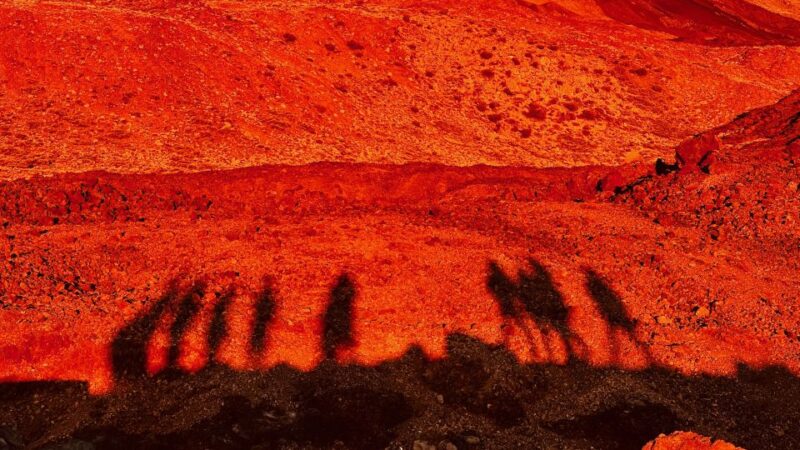 Tenerife: Private VIP Tour Teide National Park - Booking and Cancellation Policy