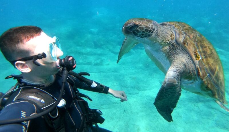 Tenerife: Puerto Colon Discover Scuba Diving Trip - Booking Information