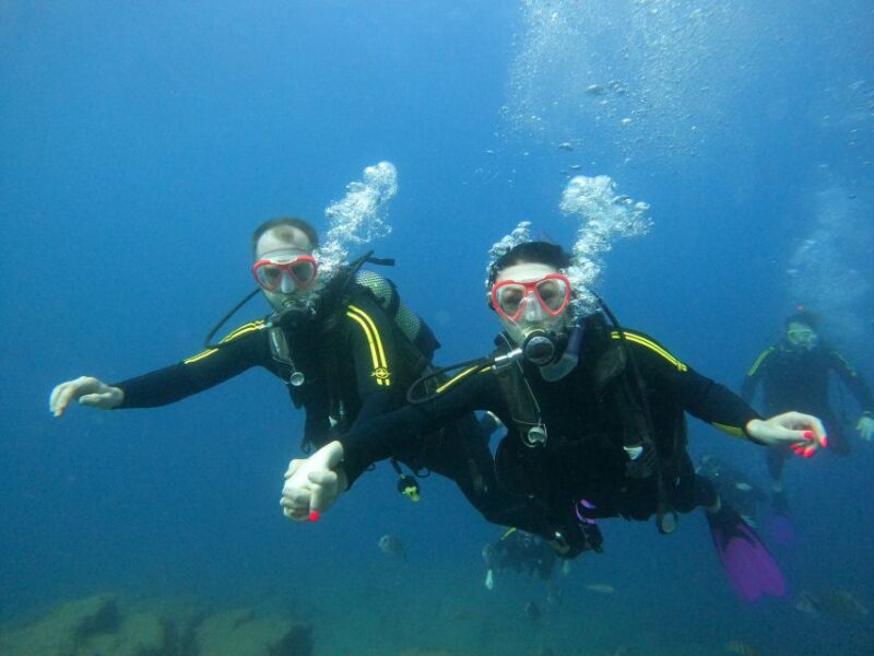 Tenerife: Puerto Colon Discover Scuba Diving Trip - Participant Feedback