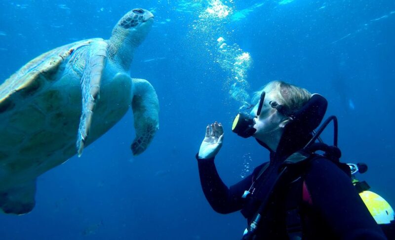 Tenerife: Puerto Colon Discover Scuba Diving Trip - Notable Experiences
