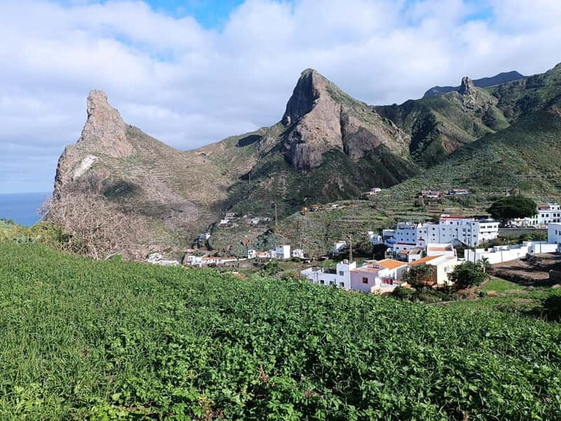 Tenerife-Puerto Cruz: Avatar Hiking, Bajamar and Cocktail - Who Would Love This Tour?