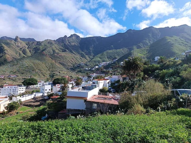 Tenerife-Puerto Cruz: Avatar Hiking, Bajamar and Cocktail - The Sum Up