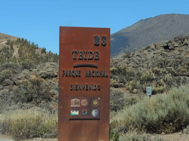 Tenerife: Quad Adventure to Mount Teide with Off-Road - Who This Tour Is Best For