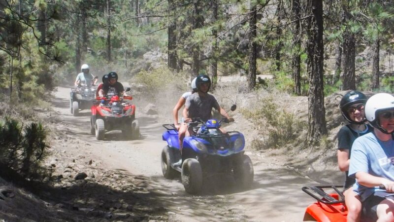Tenerife: Quad Adventure Tour in Teide National Park - Safety and Restrictions