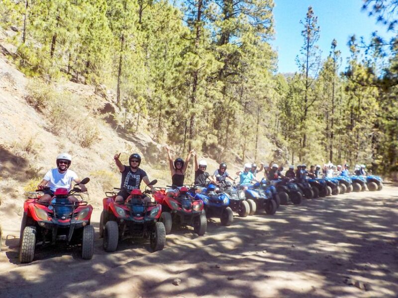 Tenerife: Quad Adventure Tour in Teide National Park - Customer Ratings and Feedback
