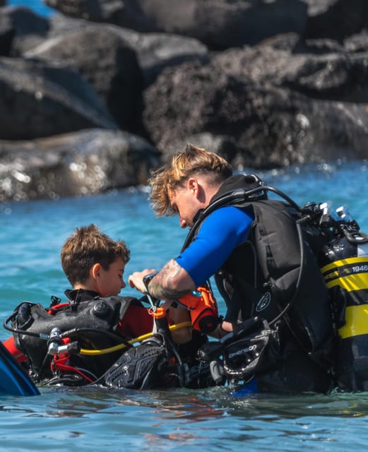 Tenerife: Scuba Dive & Fun, Discover the Magic of the Ocean - Instructor and Group Dynamics