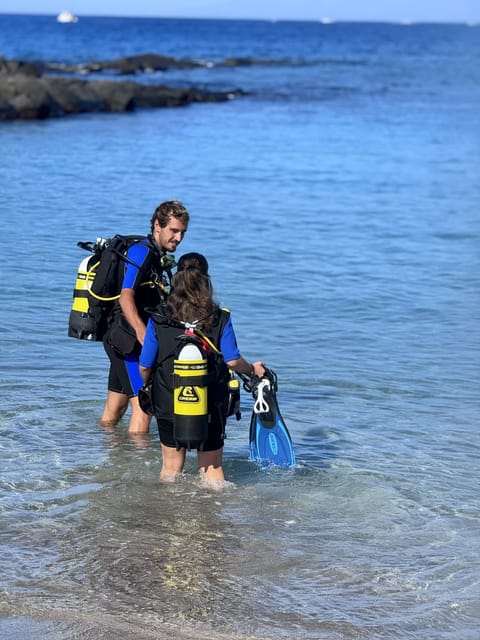 Tenerife: Scuba Dive & Fun, Discover the Magic of the Ocean - Breathtaking Scenery and Wildlife