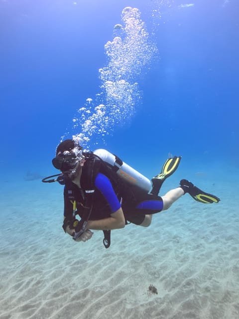 Tenerife: Scuba Dive & Fun, Discover the Magic of the Ocean - Flexible Booking and Cancellation Policy
