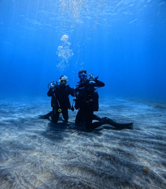 Tenerife: Scuba Diving Experience for Every Level - Customer Reviews and Ratings