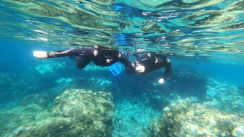 Tenerife: Snorkeling Tour in a Marine Protected Area - Introduction: An Underwater Adventure in Tenerife
