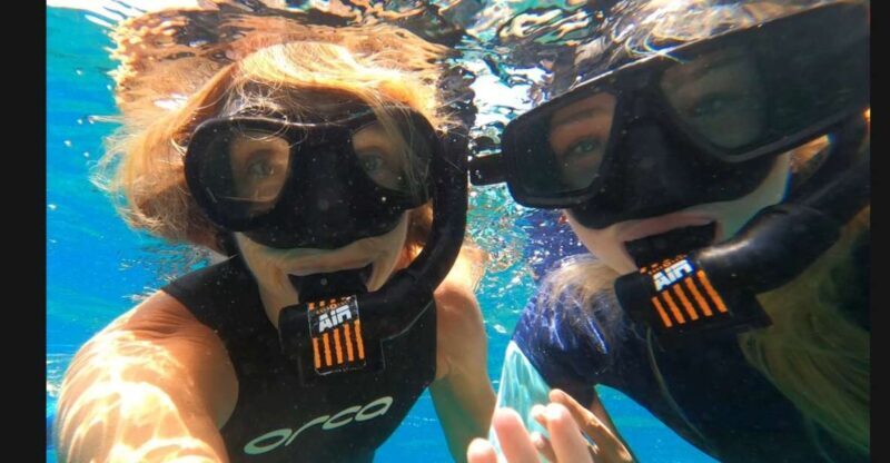 Tenerife: Snorkeling Tour in a Marine Protected Area - Why This Snorkeling Tour Offers Great Value