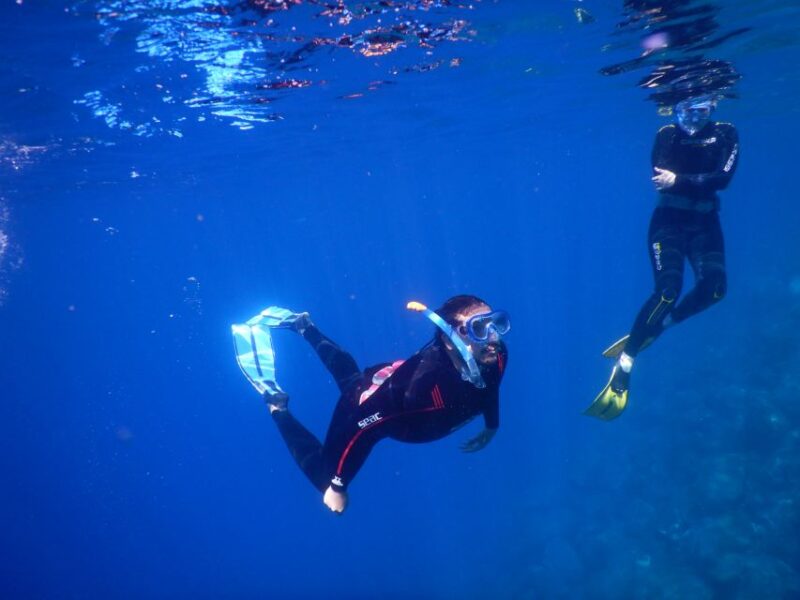 Tenerife: Snorkeling Underwater With a Freediving Instructor - Customer Testimonials