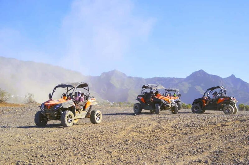 Tenerife: South Coast Buggy Tour with Off-Roading - The Experience Provider: Quality and Reliability