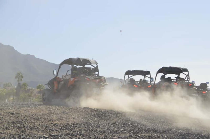 Tenerife: South Coast Buggy Tour with Off-Roading - Who Will Love This Tour?