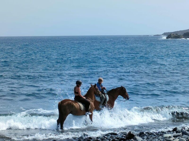 Tenerife South: Private Horseback Riding to the Coast - Key Points